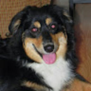 Meet your Posher, Renee